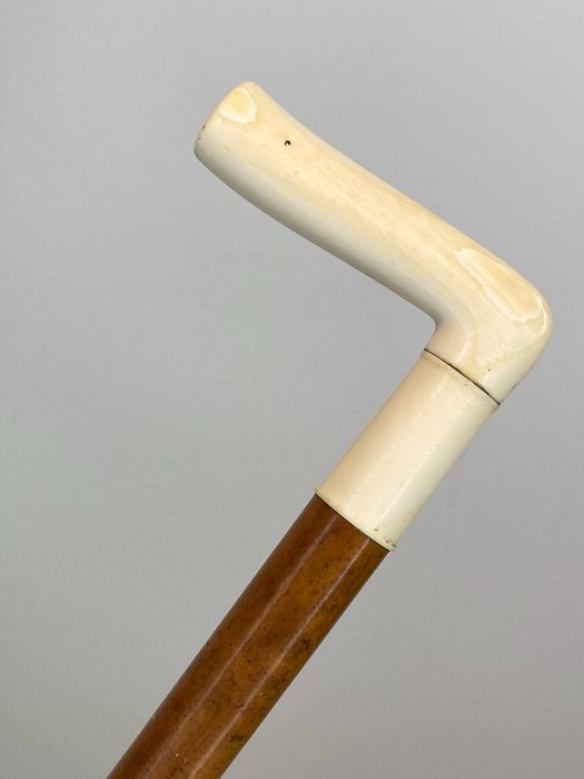 Bastone da passeggio in legno di malacca con manico diritto avorio - Certificato compreso - Avorio, Legno - Intorno al 1890