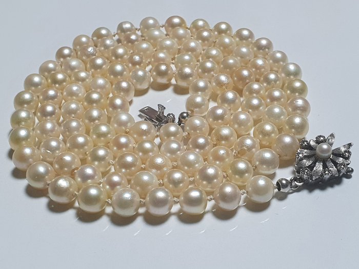835 Silver - Vintage Necklace of the Japanese Akoya Pearls - Catawiki