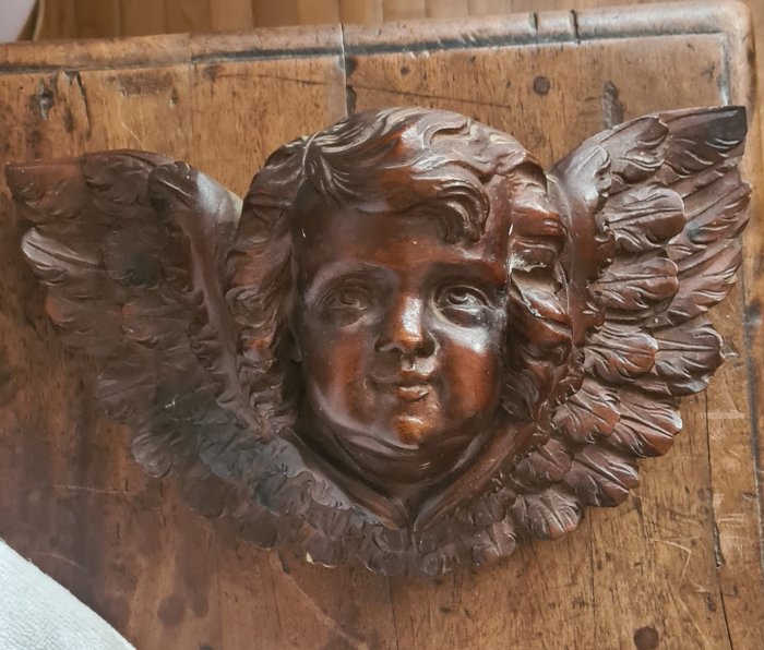 Scultura, una testa d'angelo ben dettagliata - legno intagliato - XIX secolo