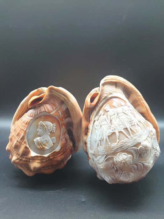 Coquille de conque camée sculptée (2) - Coquille de conque - Fin du XIXe siècle