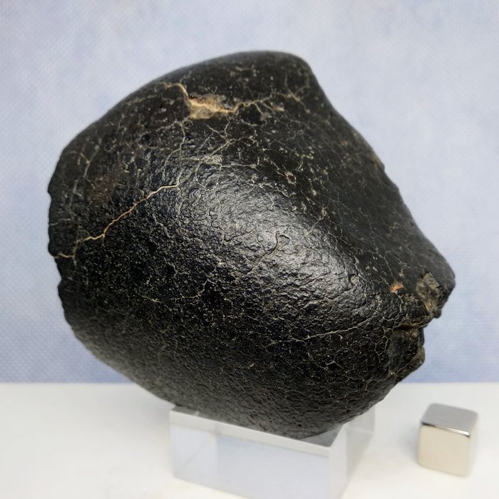 CK隕石-碳質球粒隕石- 以身作則！壯觀！ - 341 g