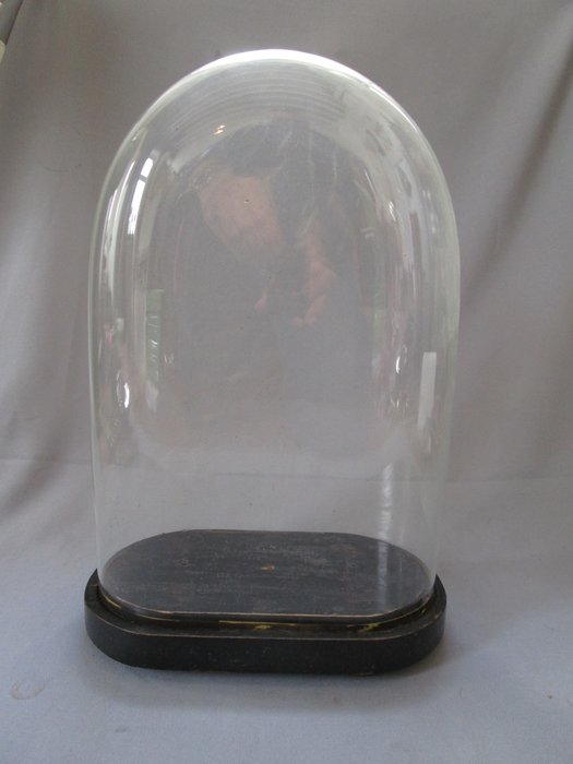 Suuri, soikea, antiikkinen lasikupoli - lasi verho - lasi kupoli - lasikellon - pohjalla (puu) - korkeus pohjalla n. 45 cm - suun puhallettu lasi