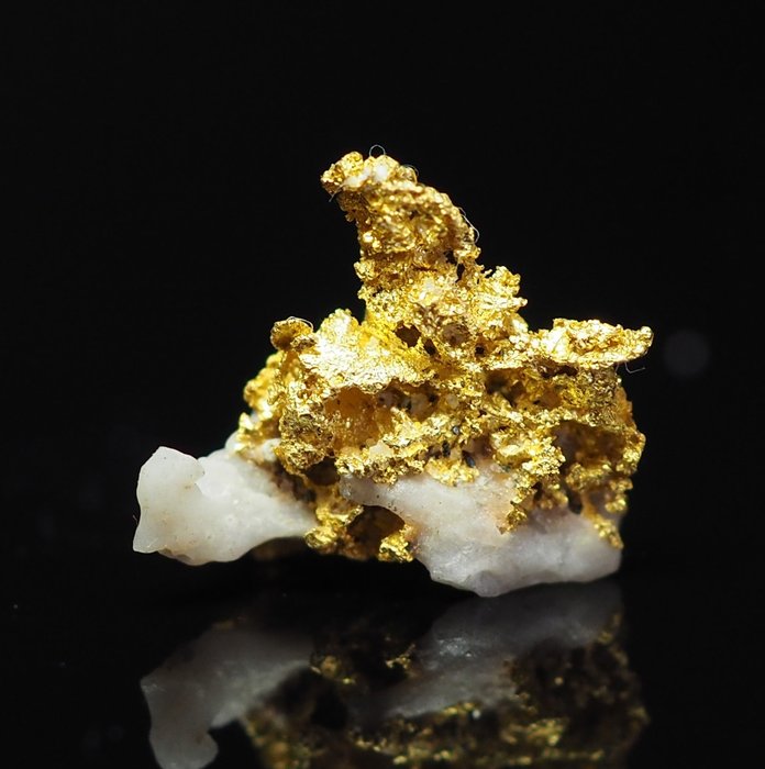 Atemberaubendes seltenes kristallines Gold in Quarz Exemplar - 0.31 g