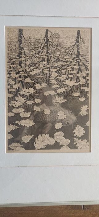 M.C. Escher (1898 – 1972) – Drie werelden – Bool 405