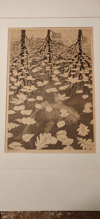 M.C. Escher (1898 – 1972) – Drie werelden – Bool 405