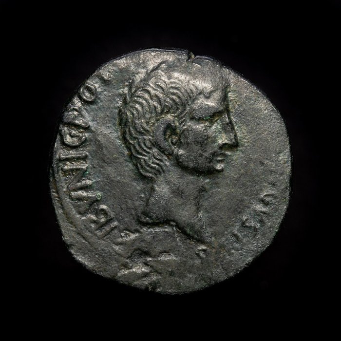 Roman Empire - As - Augustus (27 BC-14 AD) L. Naevius Surdinus, moneyer. - L SVRDINVS III VIR AAA F F around large SC. - Bronze