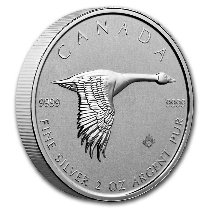 Canada. 10 Dollars 2020 Royal Canadian Mint Canadian Goose / Gans - 2 Oz