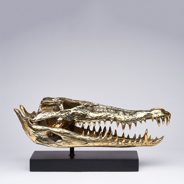 雕塑, Saltwater Crocodile Skull fashioned in bronze, on custom stand - (Crocodylus porosus) - Bronze - 18 cm - 黄铜色