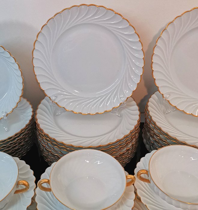 Haviland & Co. Limoges - Serviço de mesa (75) - Porcelana