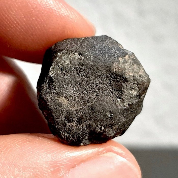 Allende meteorit Berömd kolhaltig kondondrit, CV3 - 6.8 g