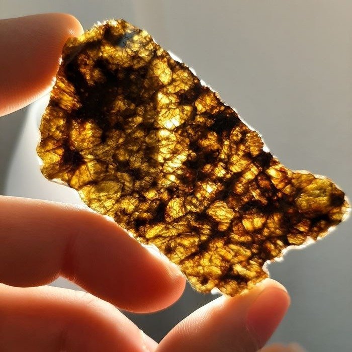 NWA 7831. Diogenite meteorit fra Vesta. Gennemsigtig skive - 10.1 g