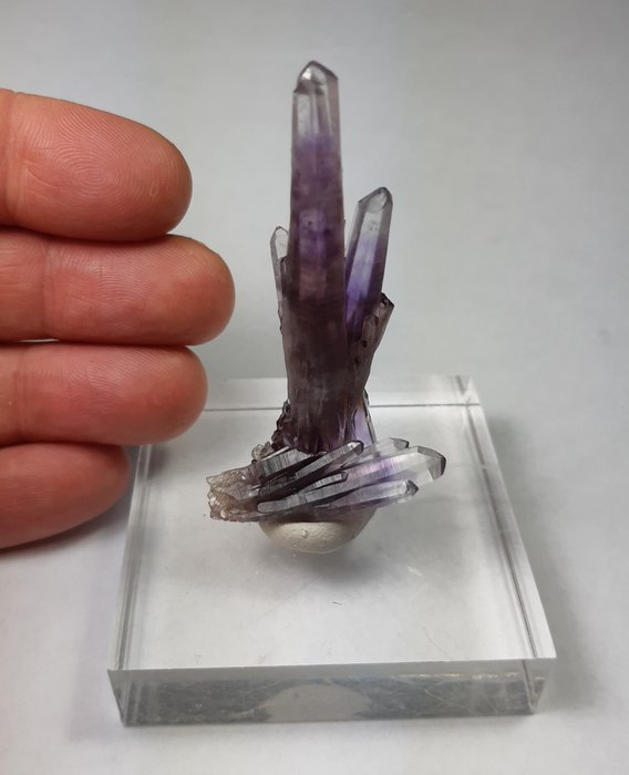 稀有和顶级的格雷罗紫水晶 水晶群 - 7×3.5×1.8 cm - 17 g
