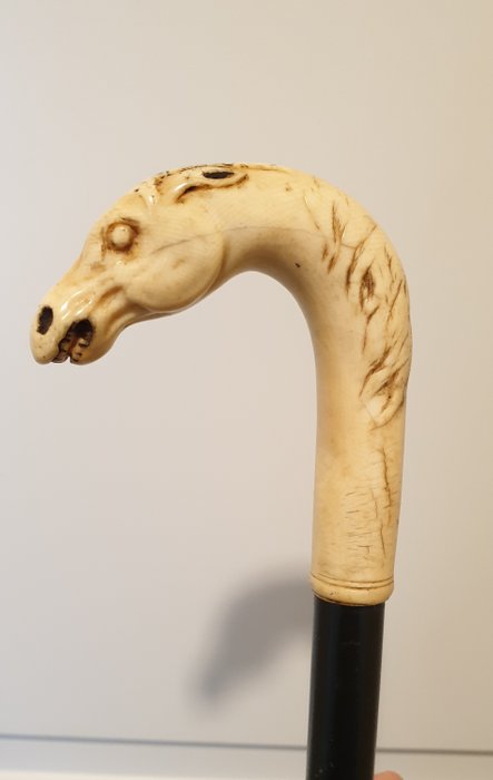 Walking stick (1) - Ivory, Wood - Late 19th century