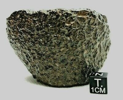 NWA 13239 UREILIET METEORIET Achondrite meteoriet - 218 g
