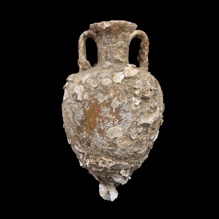 Ancient Roman Pottery wine amphora from a shipwreck with sea encrustations, 60 x 34 cm