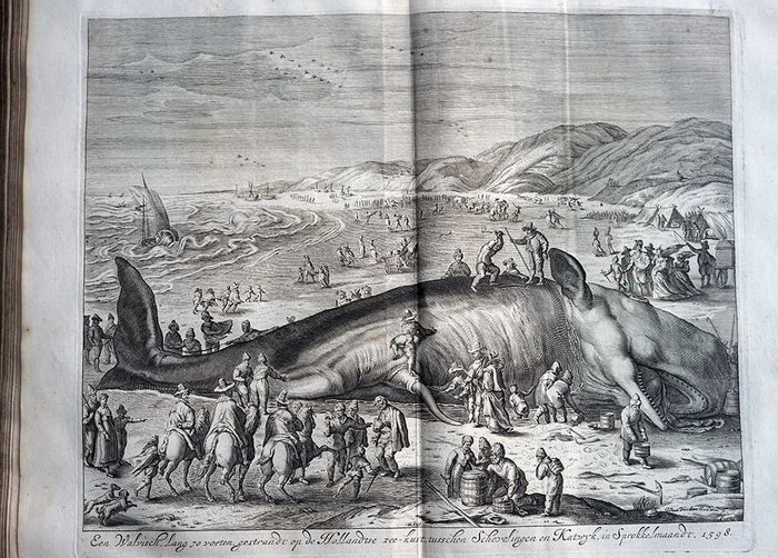 Pieter Christiaensz Bor - Oorsprongk, begin, en vervolgh der Nederlandsche oorlogen - 1679/1684