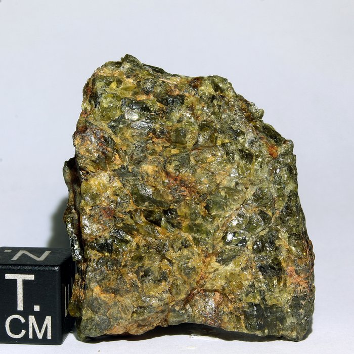 Berømt Diogenite meteorit NWA 7831 - 35×31×14 mm - 26.16 g - (1)