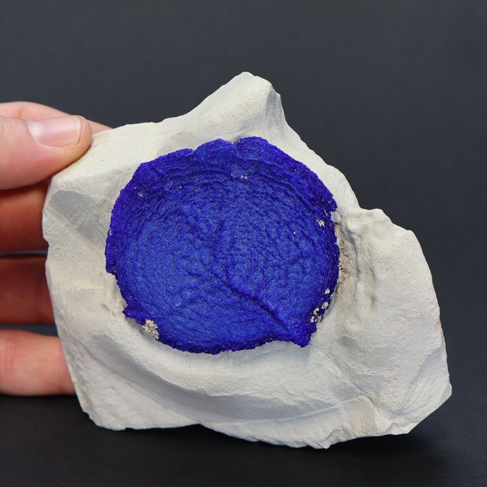 高品質藍銅太陽 - 稀有礦物！！！ - 馬爾本卡礦山 - 高度: 120 mm - 闊度: 110 mm- 395 g