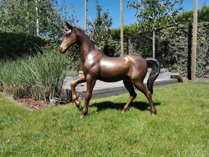 Bella scultura di un cavallo - 85 cm - Bronzo