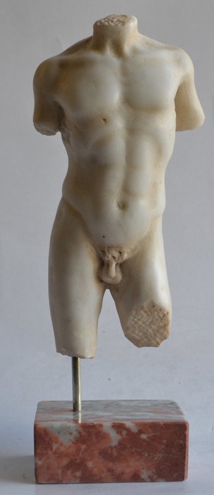 Studio Todini - Sculpture, Male torso - Marble - Late 20th century