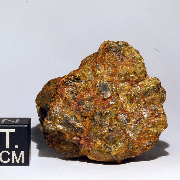 著名的二元隕石 NWA 7831 - 34×28×21 mm - 27.2 g - (1)