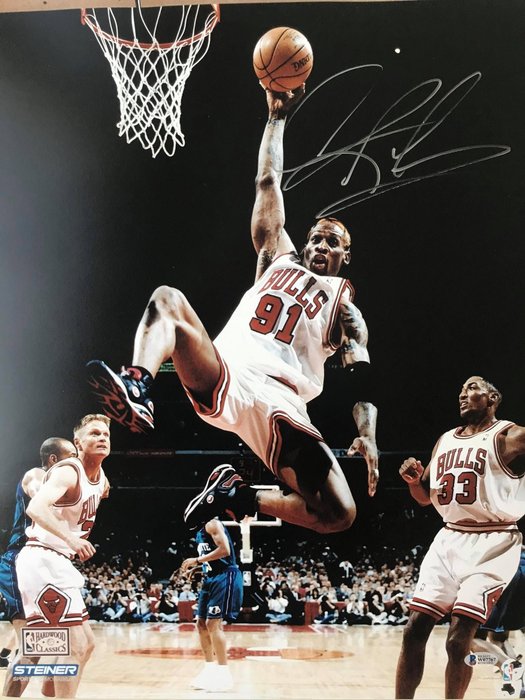 芝加哥公牛隊 - 國家籃球協會 - Dennis Rodman - 海報