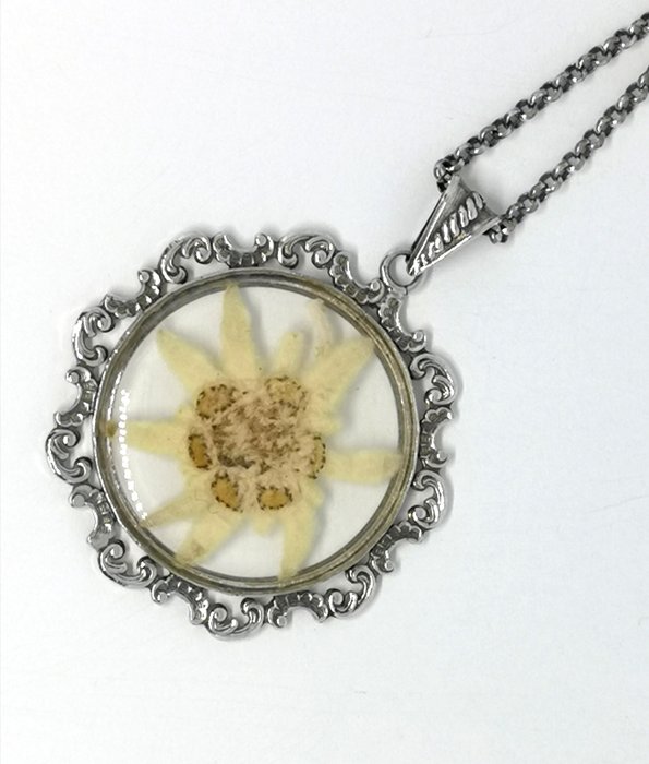 20pcs Antik Silber Farbe Geprägte Edelweiss Blume Charm Anhänger Halskette J… 