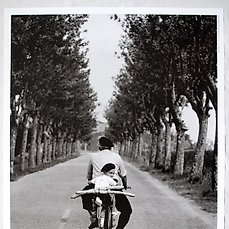 Frankreich Provence  1955 Elliott Erwitt Postkarte 