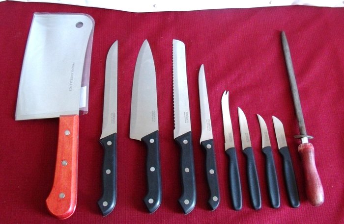 Set di 10 coltelli professionali da macellaio acciaio inossidabile