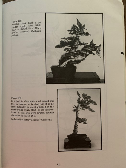 John Yoshio Naka - Bonsai Techniques II - 1982/1994