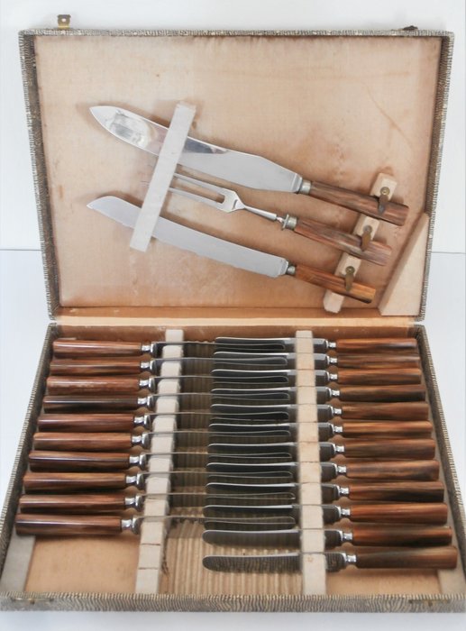 Gebr. Stroink Hilversum - Set de cuțite Art Deco, 25 bucăți cu mâner de ivoriu în pungă