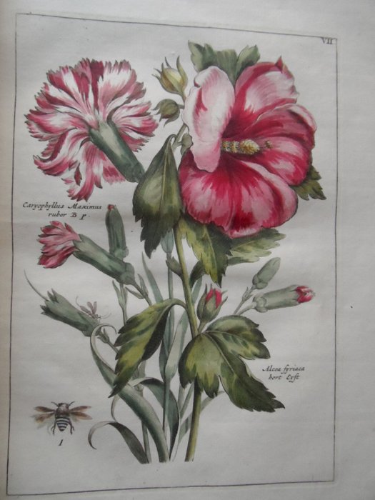 H.L. Myling /  P.T. van Brussel (medewerkers) - Nederlandsch Bloemwerk door een Gezelschap geleerden. - 1794