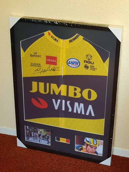 Jumbo Visma - 自行车 - Wout van Aert - 毛织运动衫