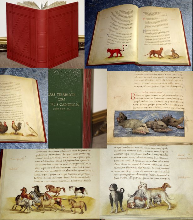 Das Tierbuch des Petrus Candidus - Codex Urbinas Latinus - 1550