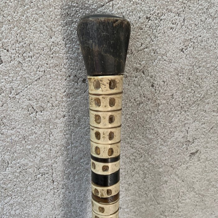 手杖由鲨鱼的脊椎制成 - 骨 - Late 19th century
