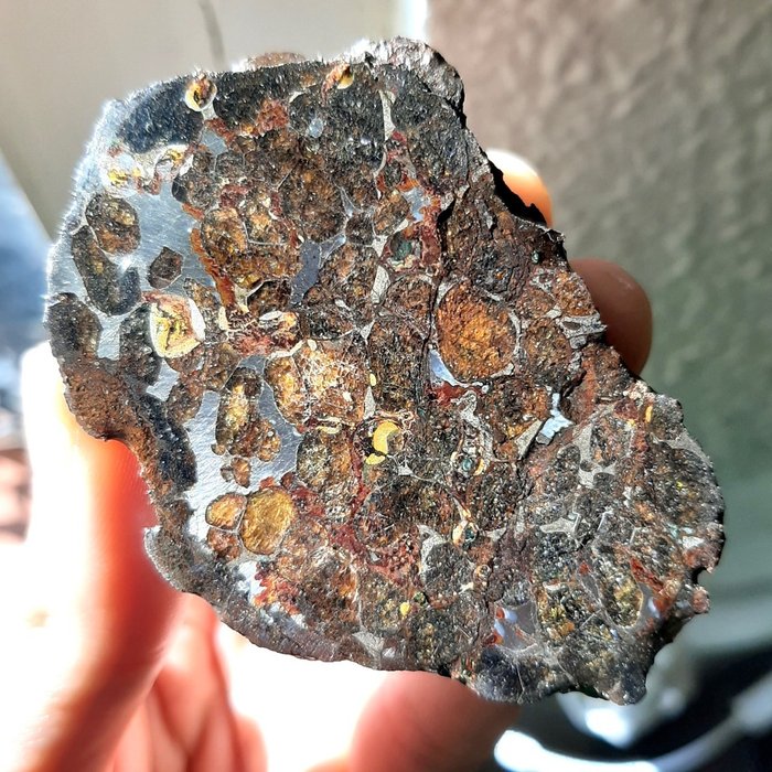 Sericho meteorite. Pallasite from Kenya. Endcut - 128 g - Catawiki