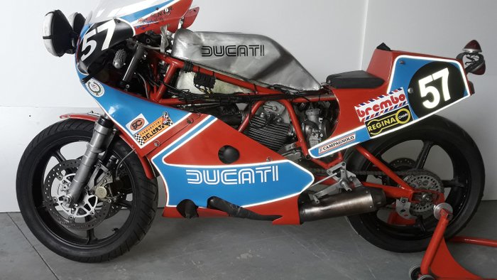 Ducati - TT1 Endurance - 1000 cc - 1982