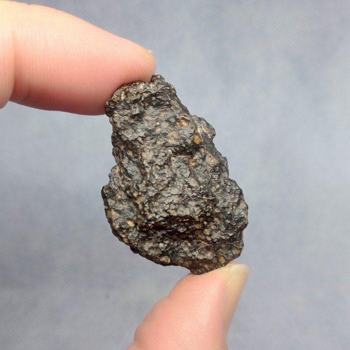 Esclusivo Meteorite NWA 13575 CVox3. Solo due al mondo! Senza prezzo di riserva !!! - 22.5 g