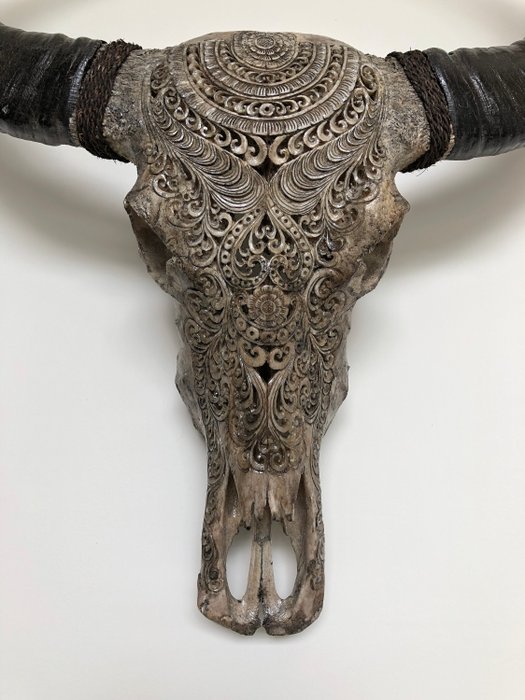 Carved buffalo bone skull carving motif.