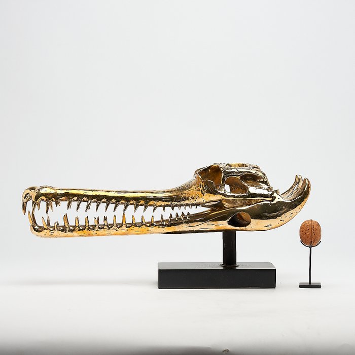 雕塑, Gharial Crocodile Skull, on custom stand - Gavialis gangeticus - Bronze - 19 cm - 黄铜色
