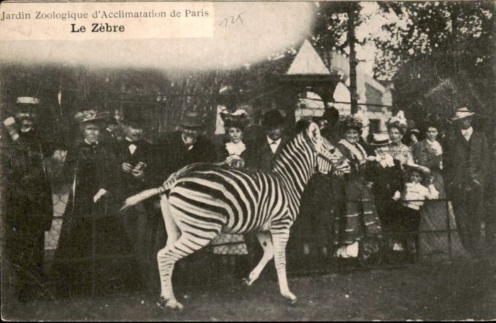Frankreich - Europa, Paris Paris - Postkarten (Sammlung von 121) - 1900-1950