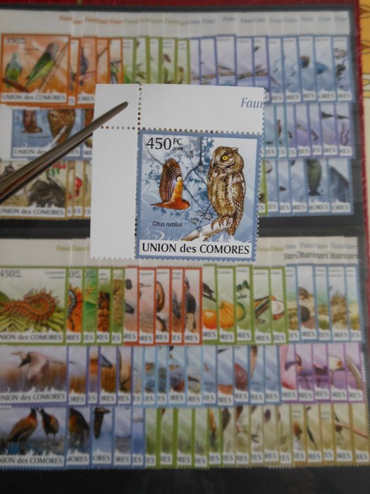 Comoren 2009 - Wildlife-themed collection in complete series. - Yvert 1631/351 & 1746/50