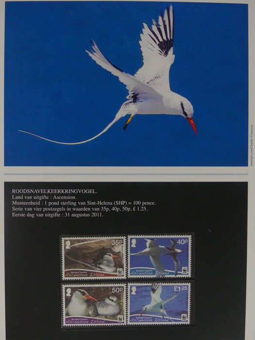 Motief Vogels, WWF 1998/2011 - Collectie op geïllustreerde bladen in 2 albums