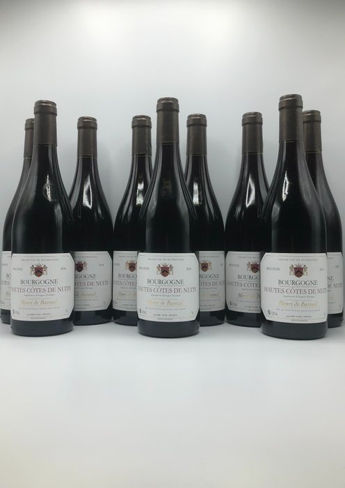 2019 Hautes Côtes de Nuits - Henri de Bareuil - Bourgogne Grand vin de Bourgogne - 9 Flaskor (0,75L)