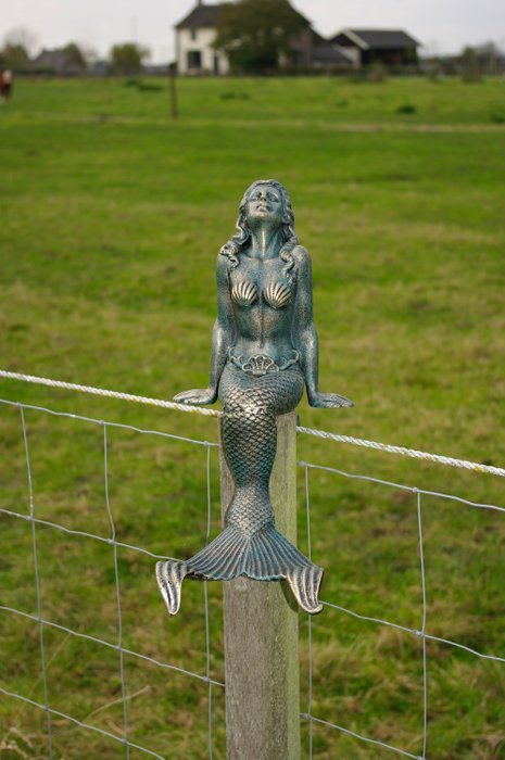 Sculptură, Zeemeermin - 50 cm - Fier