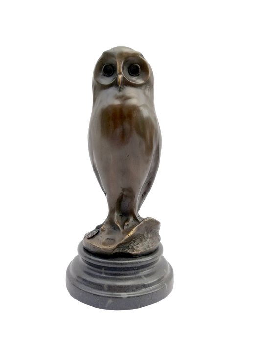 Scultura, Young owl - 25 cm - Bronzo, Marmo