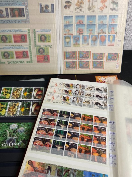 World - Collection of blocks and stamps from Tanzania, South Africa + African countries, Guyana