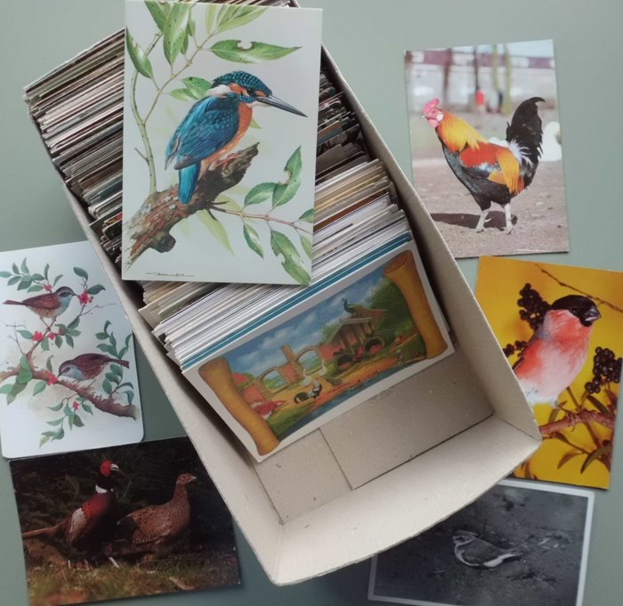 birds - Postcards (Collection of 400) - 1950