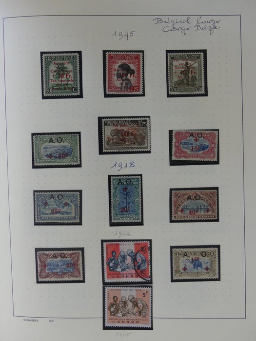 Red Cross motif 1917/2007 - Elaborate collection in two albums