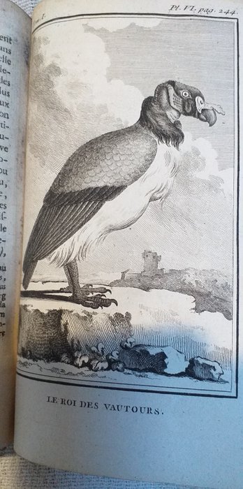Georges Louis Leclerc, comte de Buffon - Histoire naturelle, générale... Tome quatorzième: Histoire naturelle des oiseaux. Tome premier - 1770